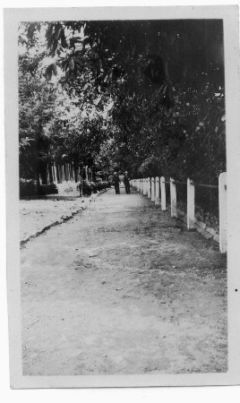 Images/Brown  Dagshai 2 India.jpg